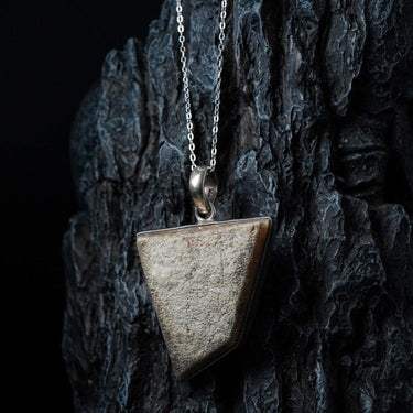 Dinosaur Egg Pendant - Black Feather Design